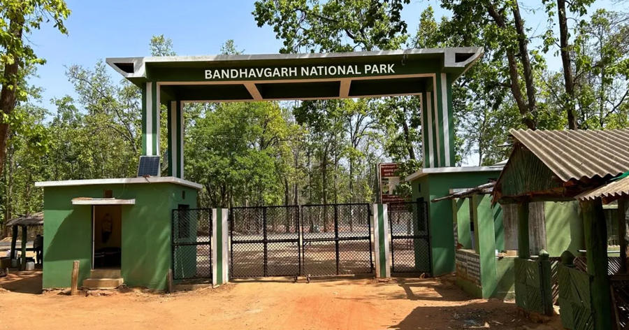 Bandhavgarh-National-Park