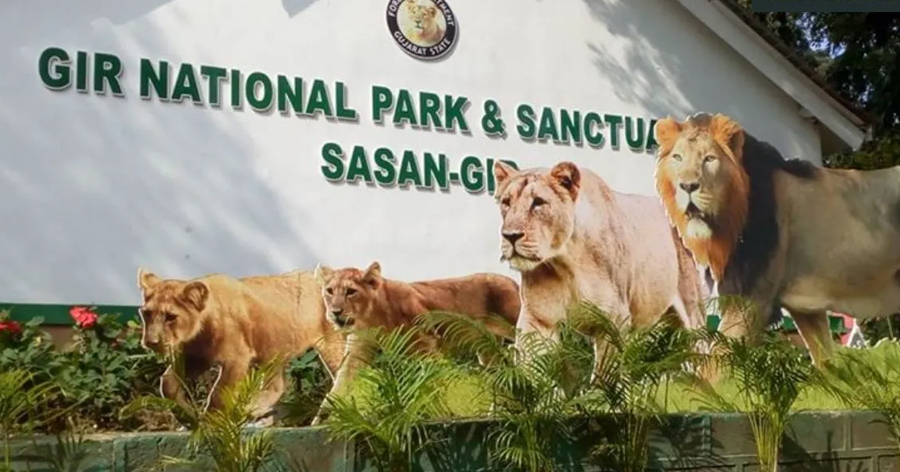 Gir-National-Park