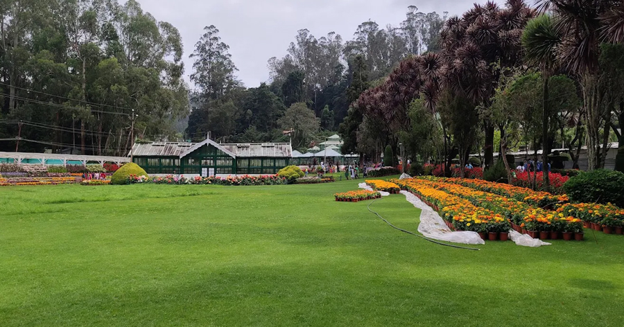 Government-Botanical-Garden