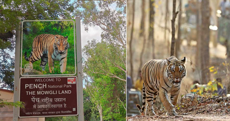 Pench-National-Park