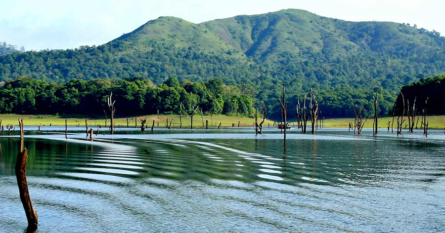 Periyar-Western-Ghats