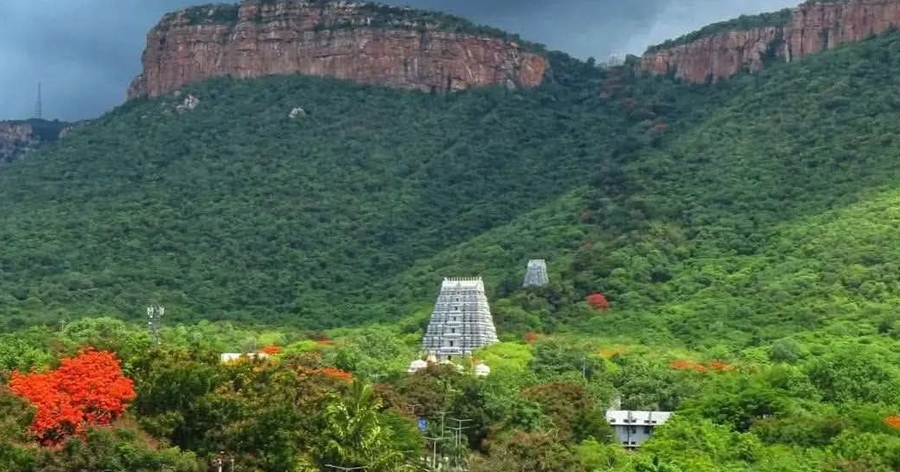 Tirumala-Hills